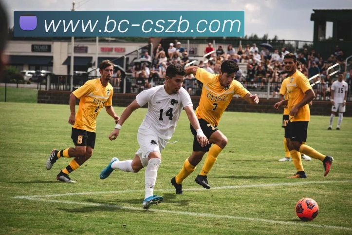 彩神争霸平台生态图